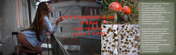 хмурый Волосово