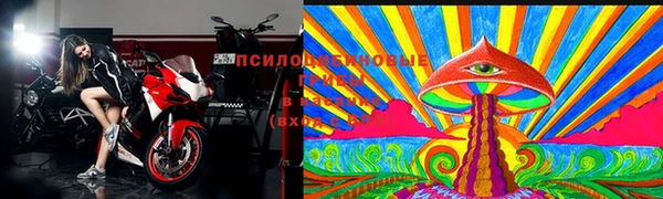 бошки Волоколамск