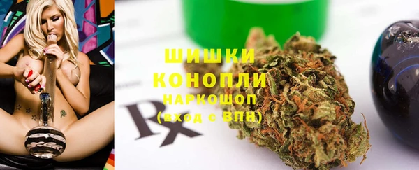 мдпв Володарск
