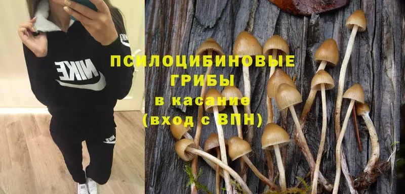 Псилоцибиновые грибы Magic Shrooms  Выкса 