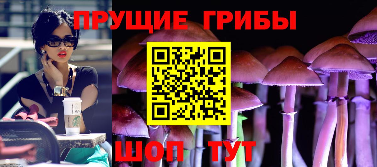 Галлюциногенные грибы MAGIC MUSHROOMS Выкса